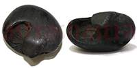 Shaligram 10743 55gm